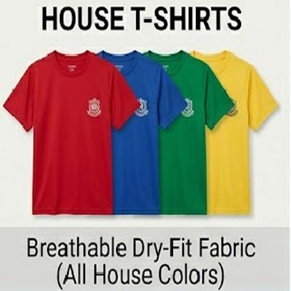 School House T Shirt Supplier in Begusarai
